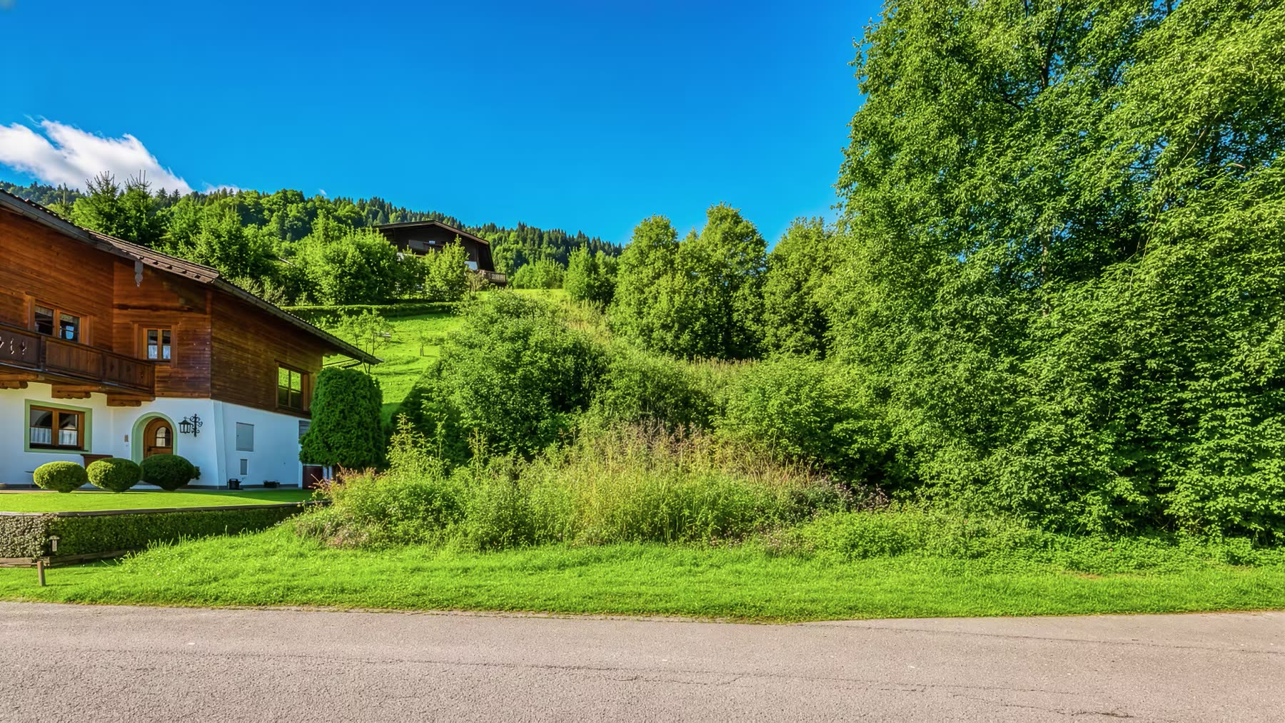 Ansicht von der Anliegerstraße auf das bewachsene Grundstück neben einem Landhaus